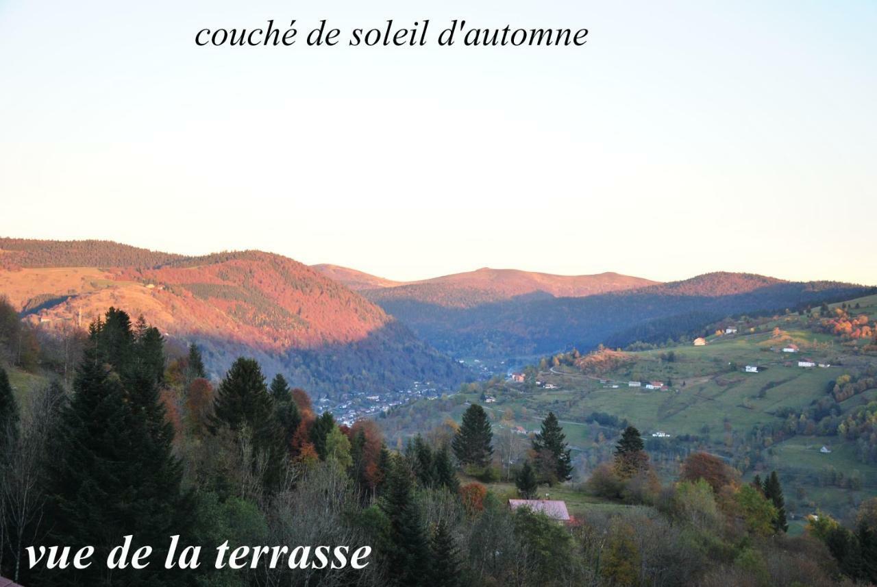 Villa Les Genets La Bresse Exterior foto