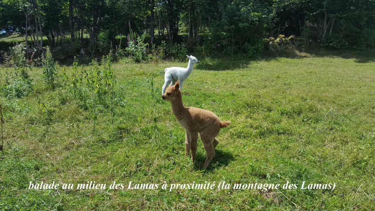 Villa Les Genets La Bresse Exterior foto